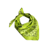 Bandana - Lime