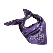 Bandana - Purple